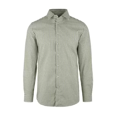carreaux vert olive