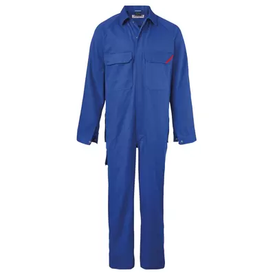 bleu roi