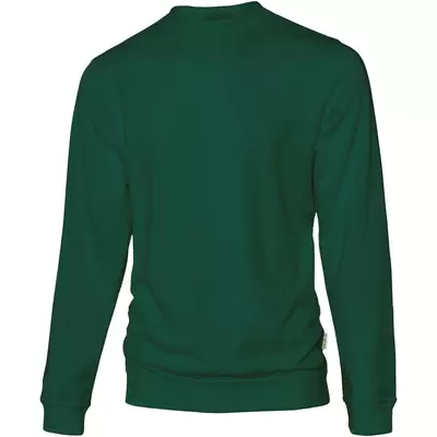 vert bouteille