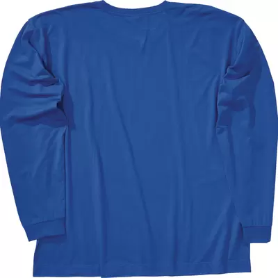bleu roi
